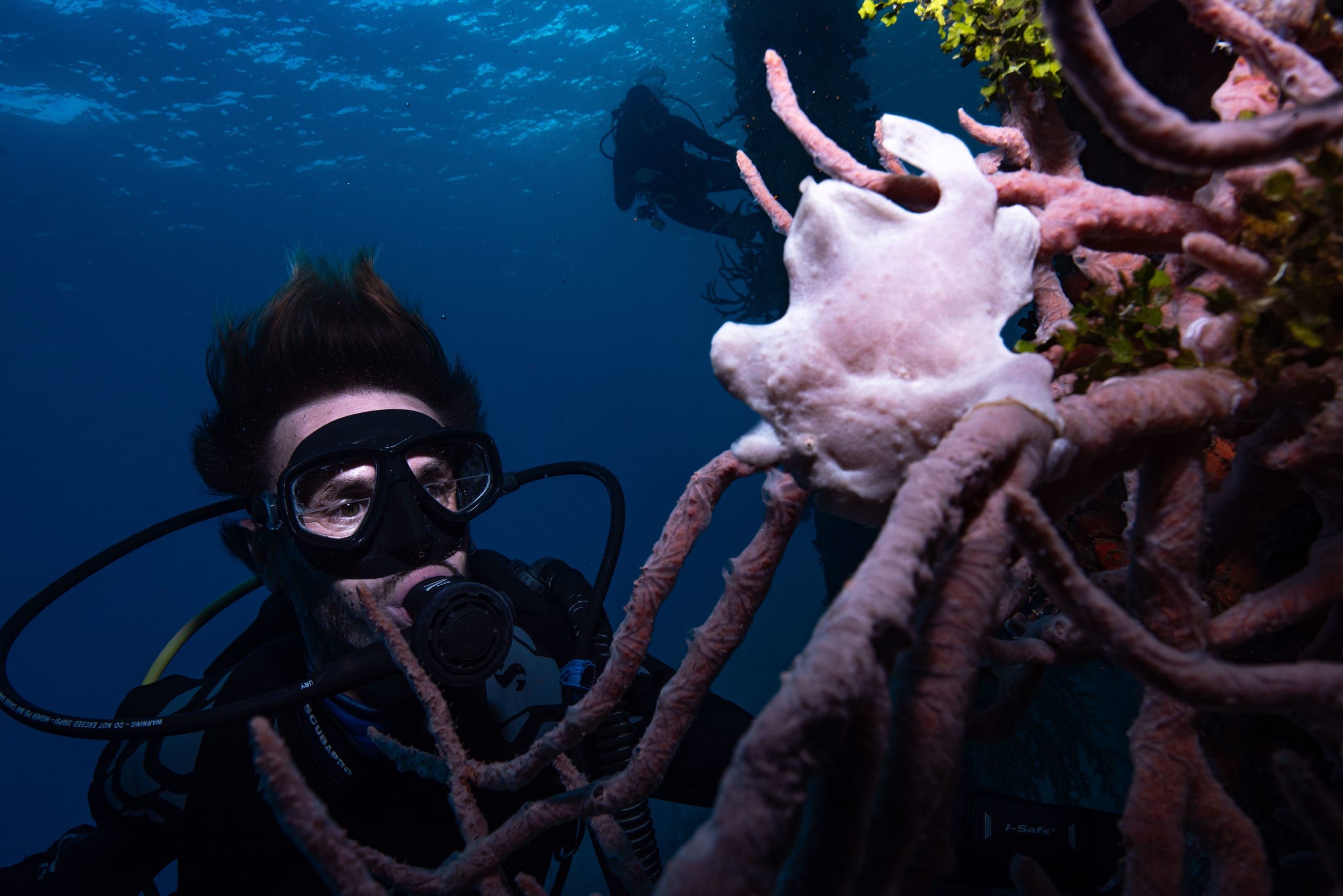 Nusa Penida Diving